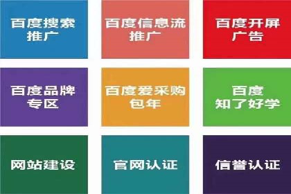 某品牌通过SEM代运营托管公司实现业绩大增